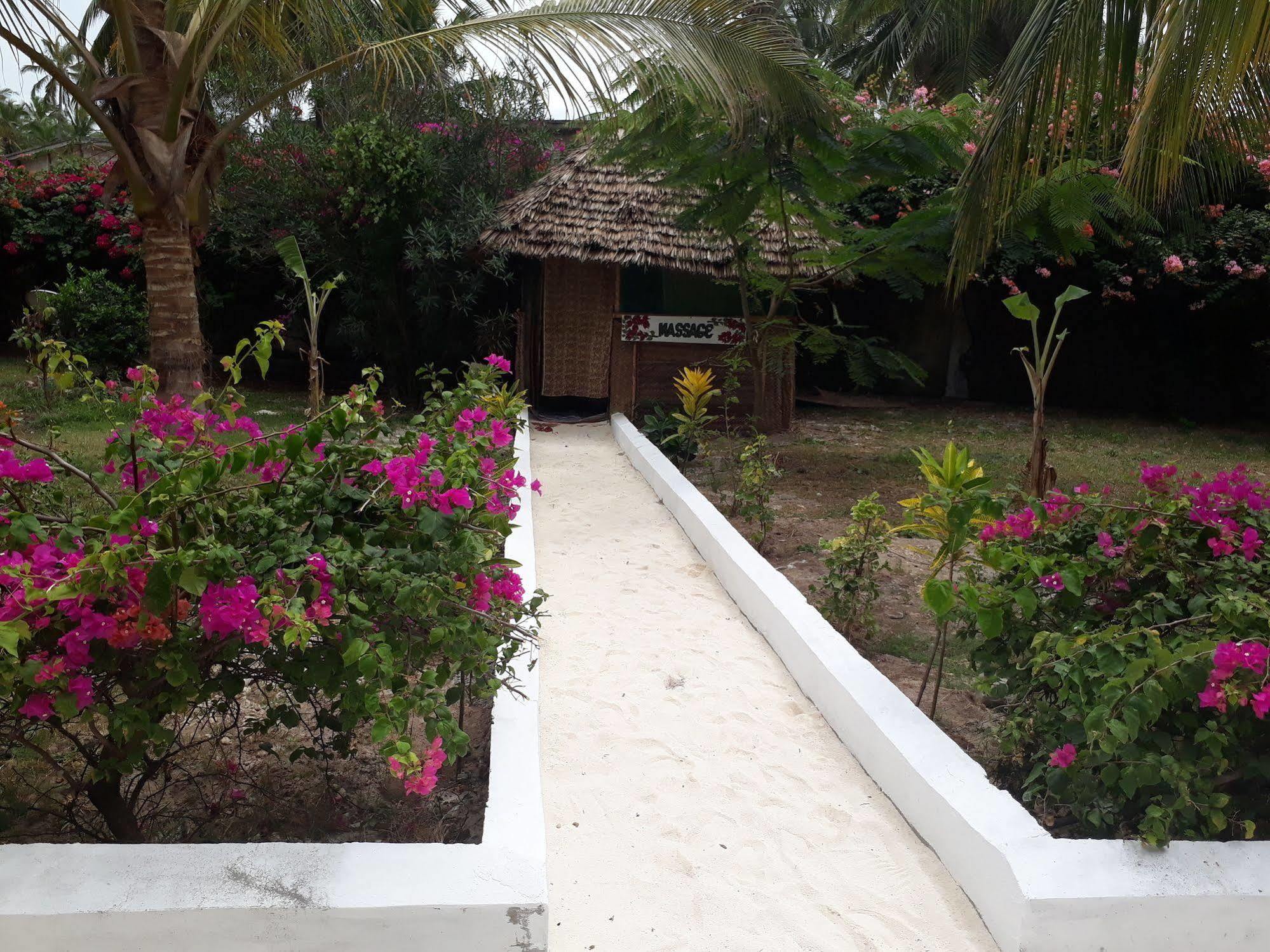 Albatross Ocean View Hotel Dongwe Exterior photo