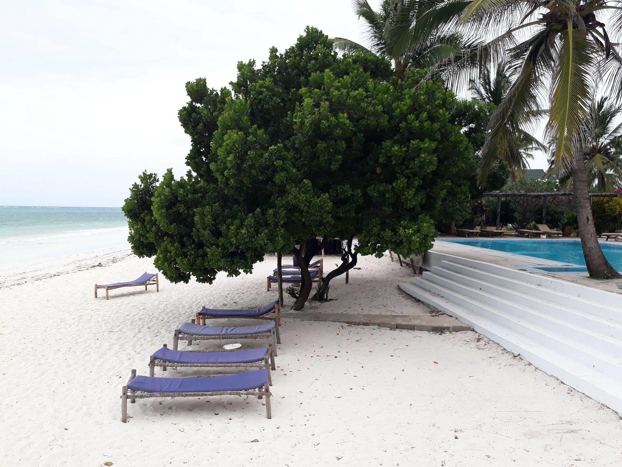 Albatross Ocean View Hotel Dongwe Exterior photo